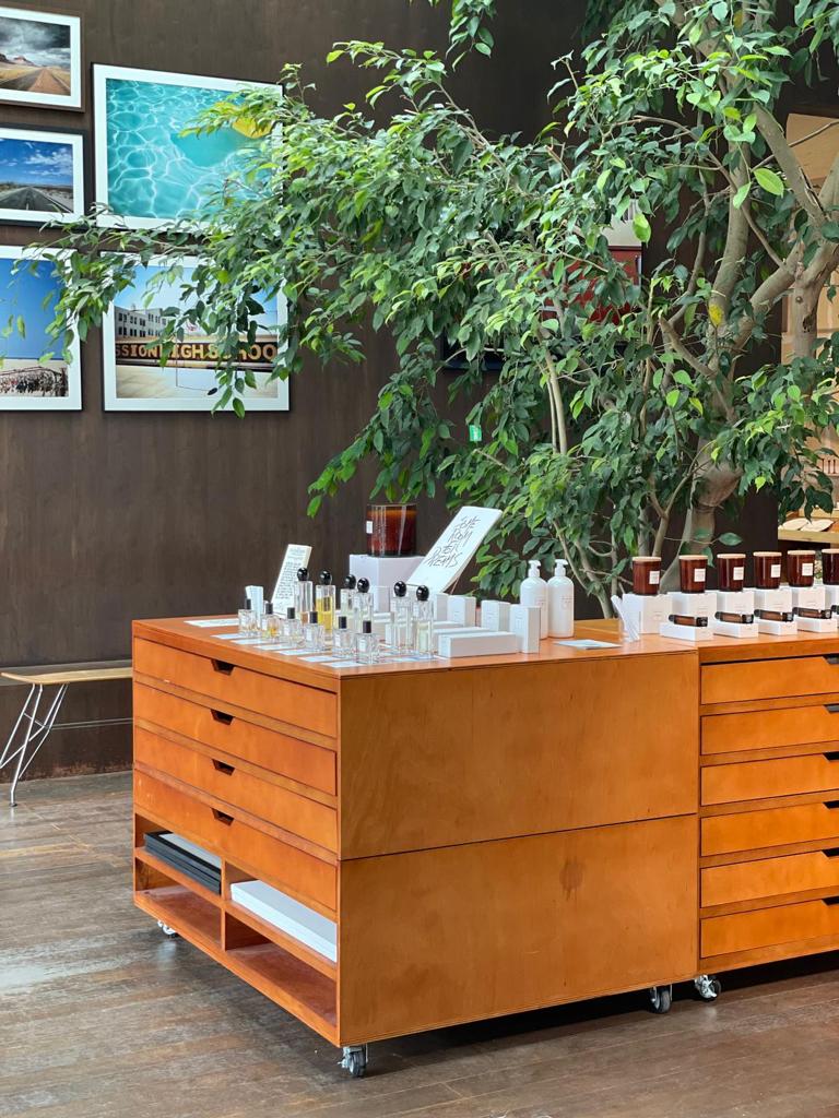 롤라 제임스 하퍼와 함께하는 특별한 한국 여름 팝업 이야기 1 한국 여름 팝업 스토어 오픈