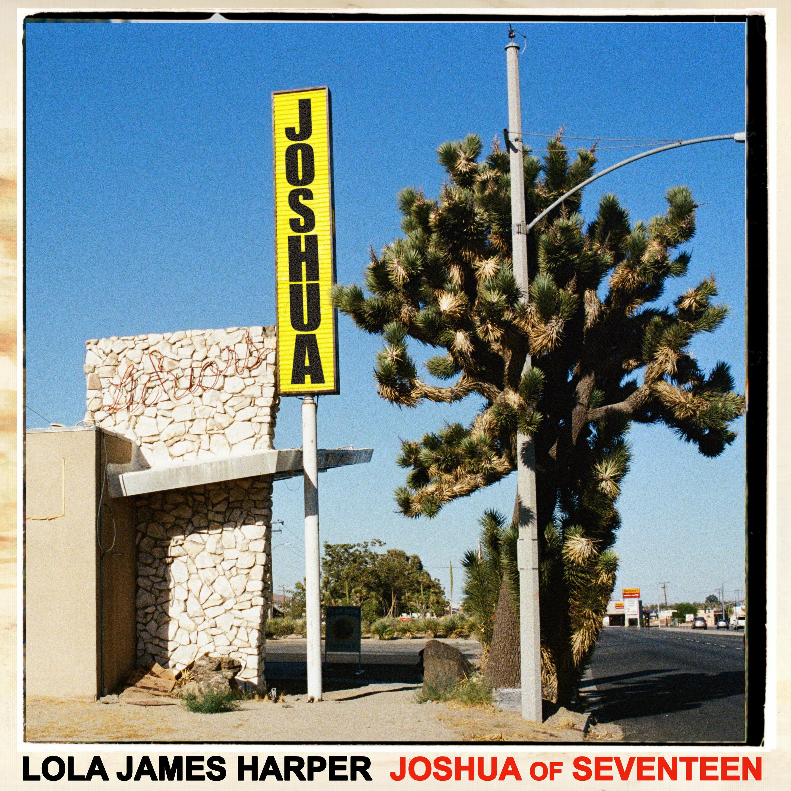 Joshua Hong x Lola James Harper