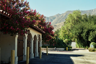 Ojai