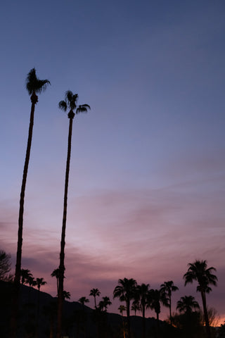 That was just a dream