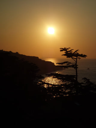 There is a song for you