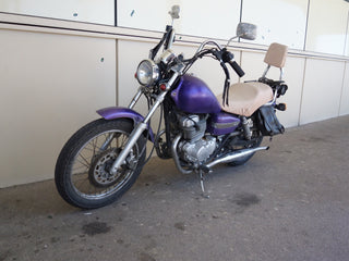 Purple Biker