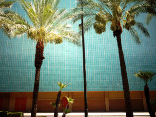 Old Vegas - LOLA JAMES HARPER