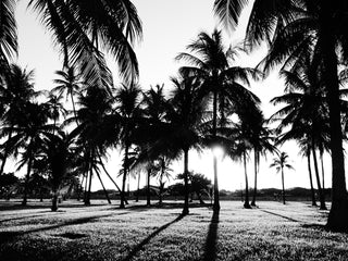 Reflection in a mountain lake
