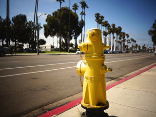 Jones - LOLA JAMES HARPER