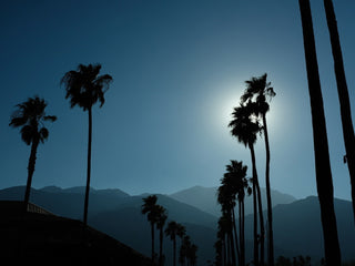 Blue Moon - LOLA JAMES HARPER