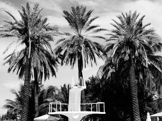 James - LOLA JAMES HARPER